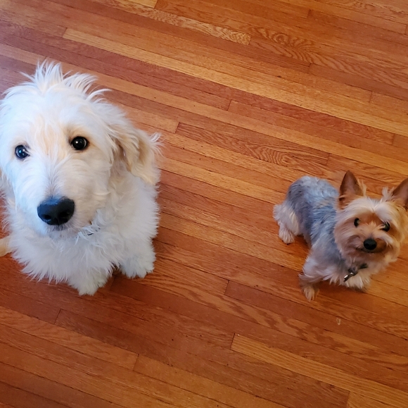 Meet your Posher - Picture 2 of 5